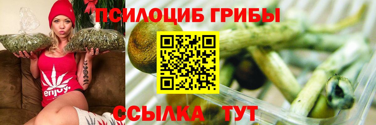 Вичуга  Псилоцибиновые грибы прущие грибы  Галлюциногенные грибы Psilocybe  Вход с VPN 